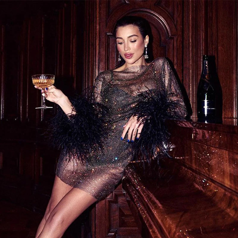 Sexy sheer party dress