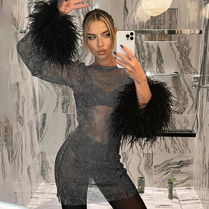 Sexy sheer party dress